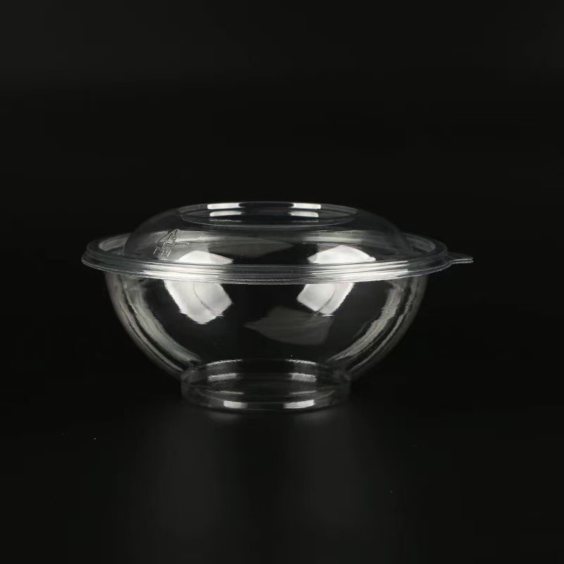 202509051605254120 202509051605254120